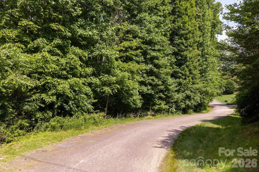 99999 Paramount Drive Leicester NC 28748