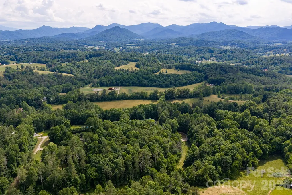 99999 Paramount Drive Leicester NC 28748
