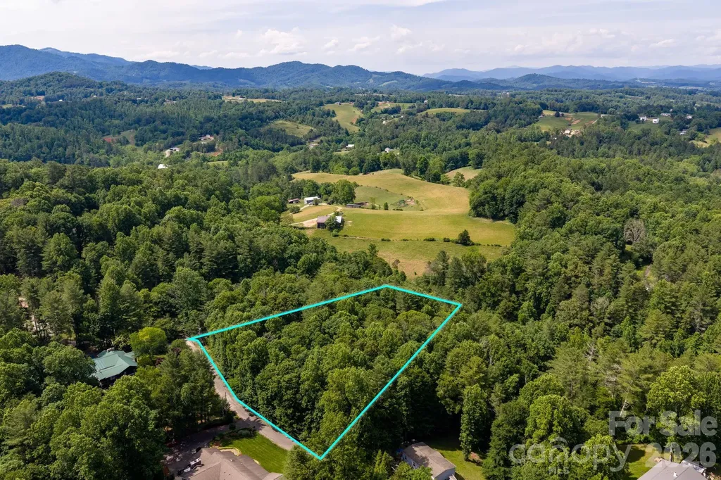 99999 Paramount Drive Leicester NC 28748