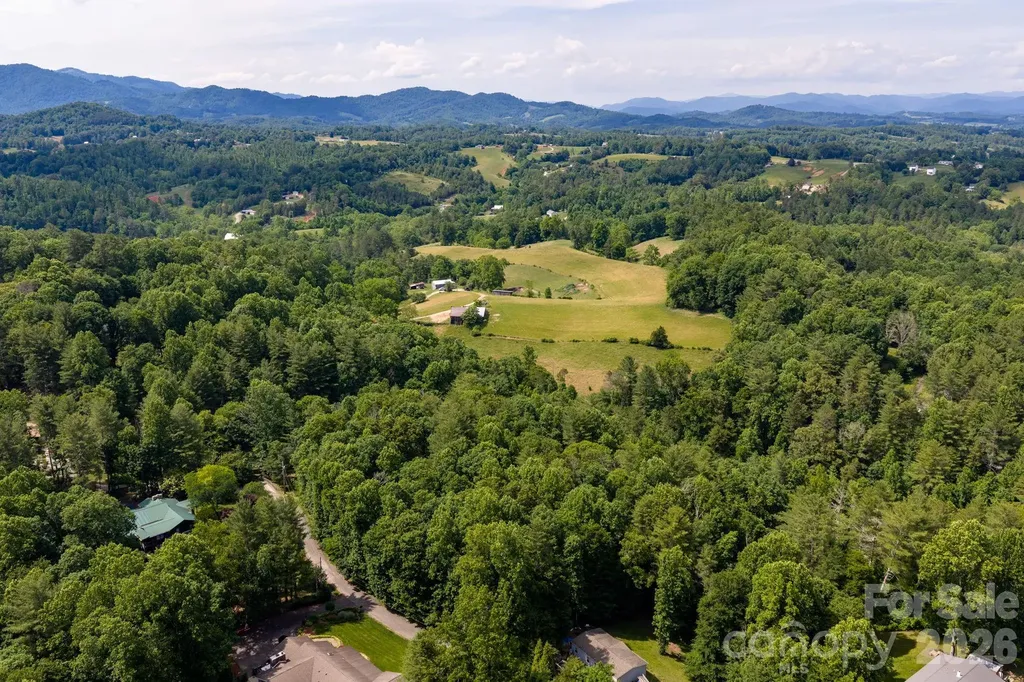 99999 Paramount Drive Leicester NC 28748