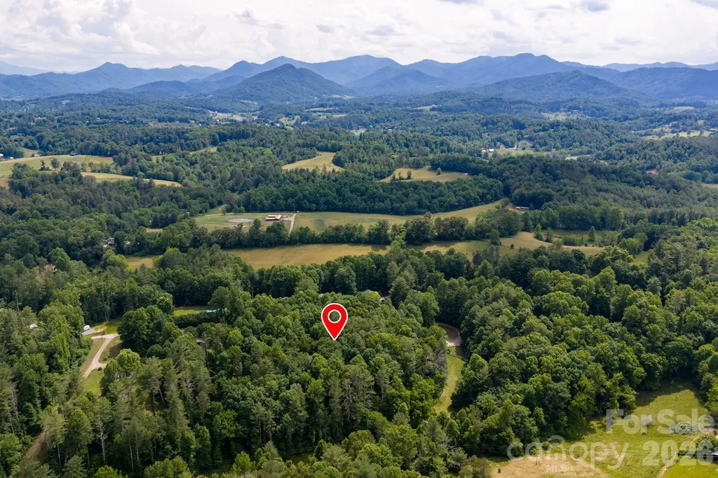 99999 Paramount Drive Leicester NC 28748