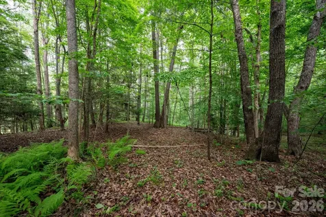 99999 Paramount Drive Leicester NC 28748