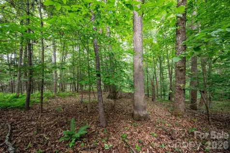 99999 Paramount Drive Leicester NC 28748