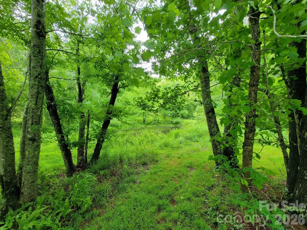 Tbd Sweetwater Ridge Road Balsam Grove NC 28708