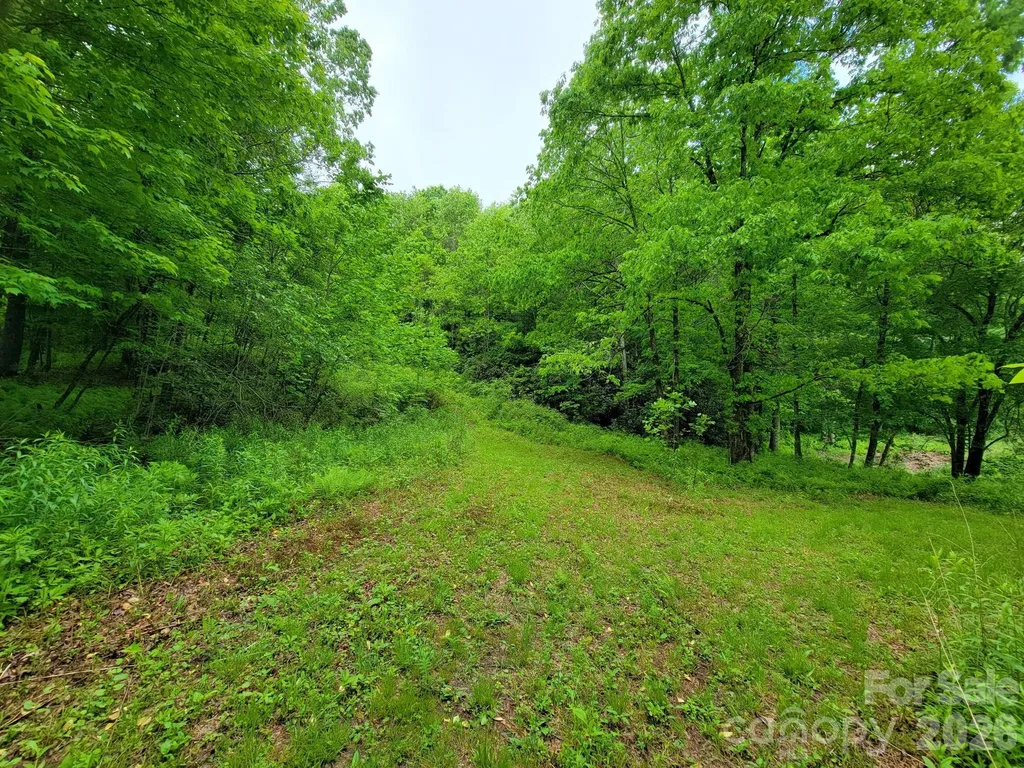 Tbd Sweetwater Ridge Road Balsam Grove NC 28708