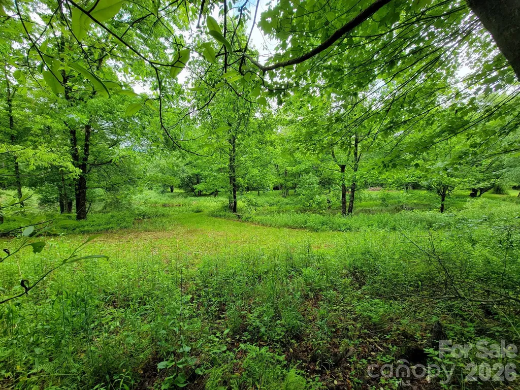 Tbd Sweetwater Ridge Road Balsam Grove NC 28708