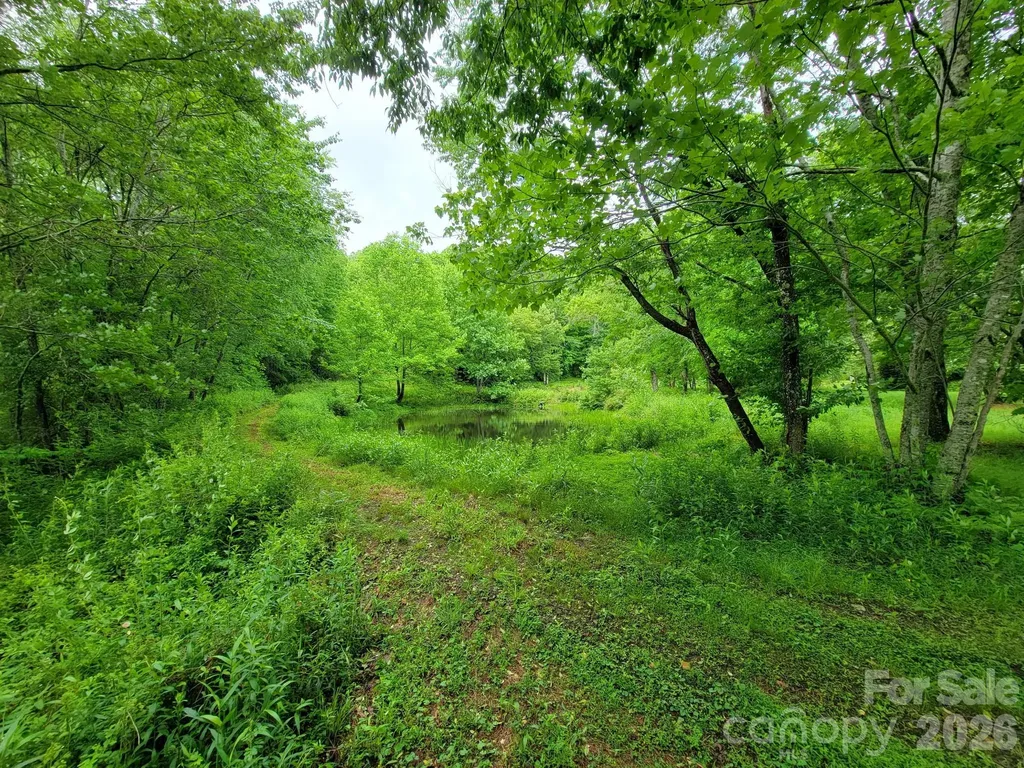 Tbd Sweetwater Ridge Road Balsam Grove NC 28708
