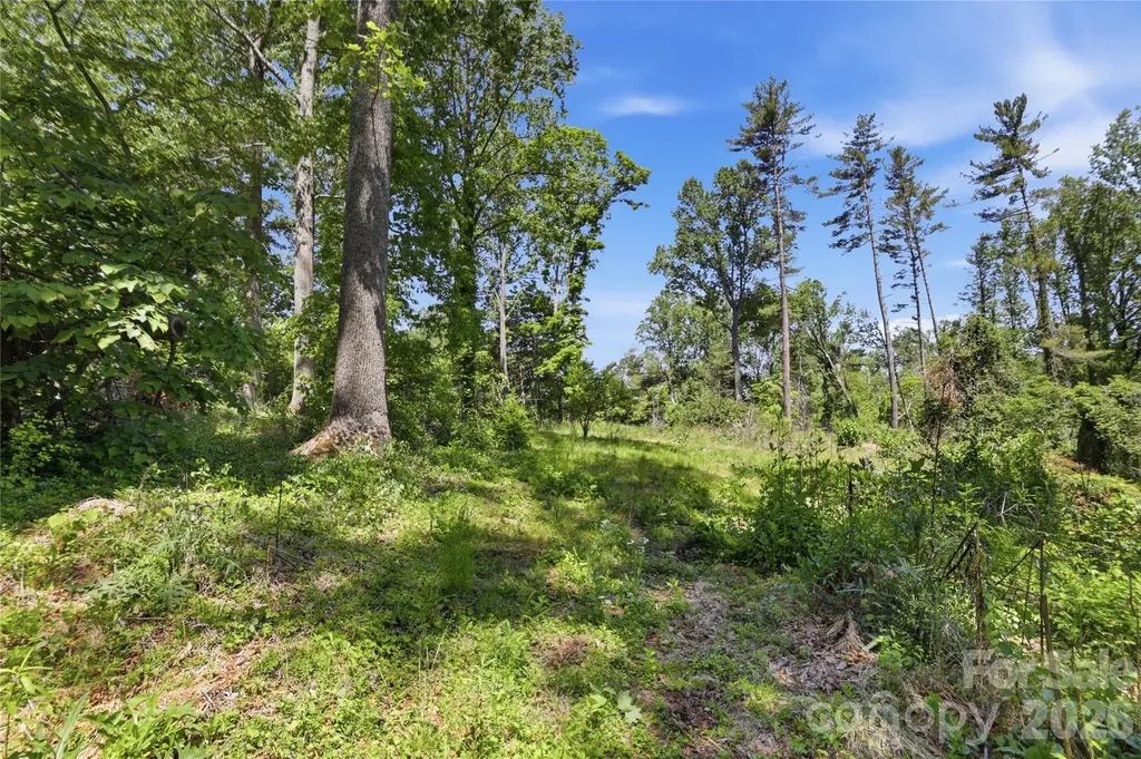 207 Wood Dale Drive Hendersonville NC 28791