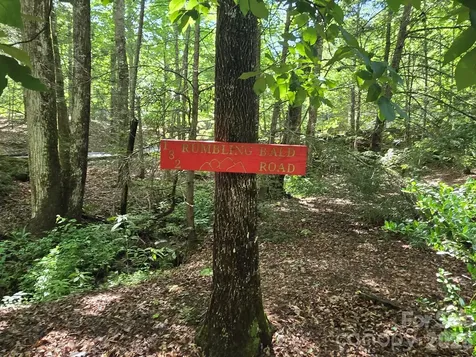 132 Rumbling Bald Road Lake Lure NC 28746