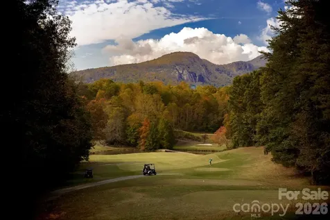 0 Mcdaniel Court Lake Lure NC 28746