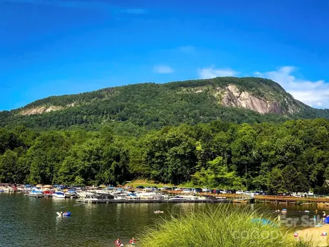 0 Mcdaniel Court Lake Lure NC 28746
