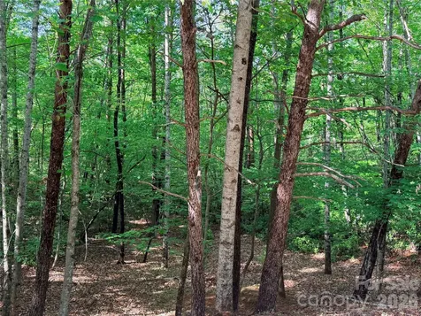 0 Mcdaniel Court Lake Lure NC 28746