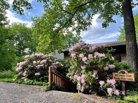 40 Adohi Trail Maggie Valley NC 28751