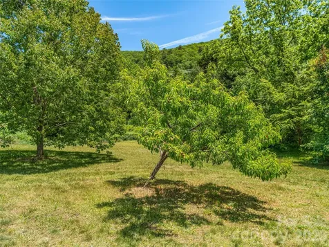 241 Pinners Cove Road Asheville NC 28803