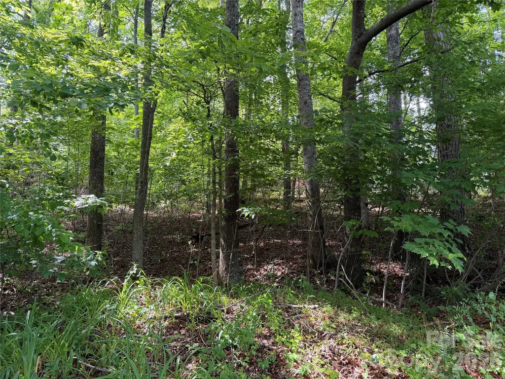 351 Mag Sluder Road Alexander NC 28701
