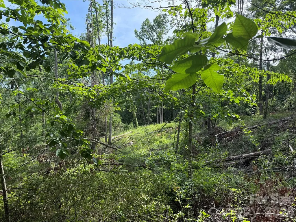 351 Mag Sluder Road Alexander NC 28701