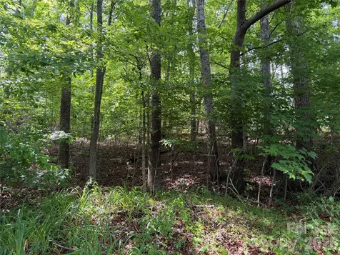 351 Mag Sluder Road Alexander NC 28701