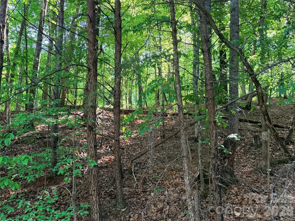 0000 Lakewood Drive Lake Lure NC 28746