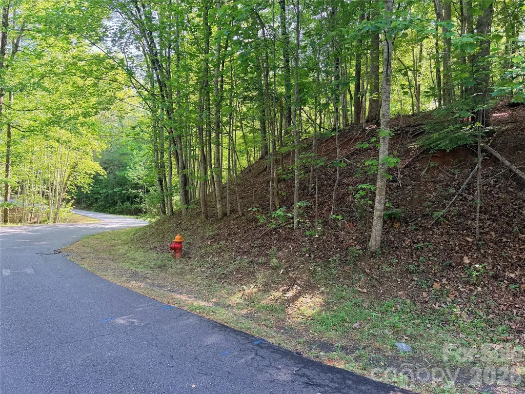 0000 Lakewood Drive Lake Lure NC 28746