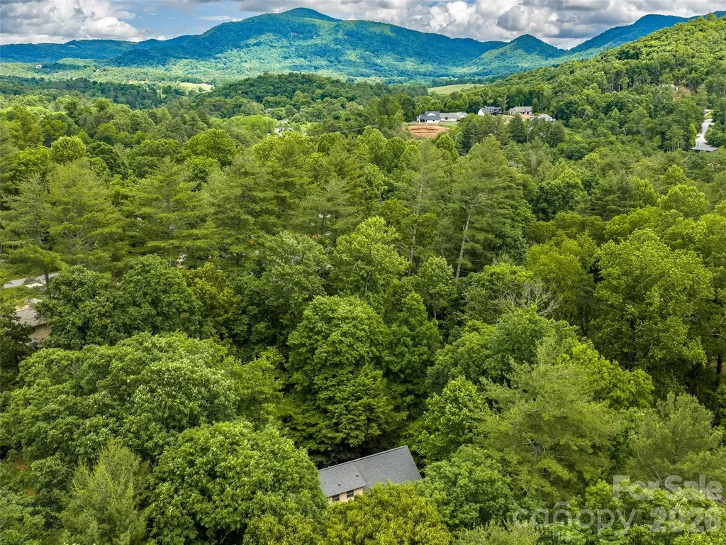 25 Blueberry Lane Fairview NC 28730