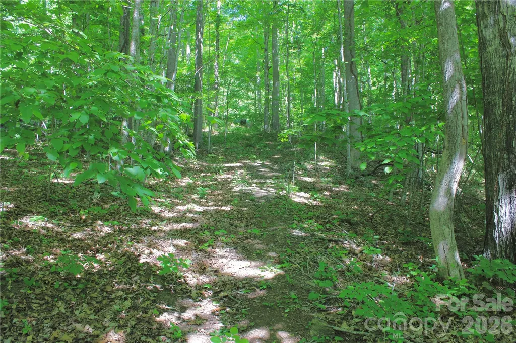 00 Wildwood Drive Burnsville NC 28714