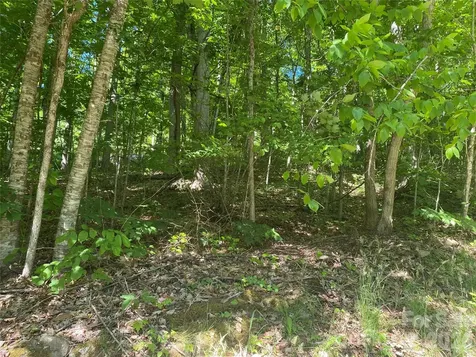 00 Wildwood Drive Burnsville NC 28714