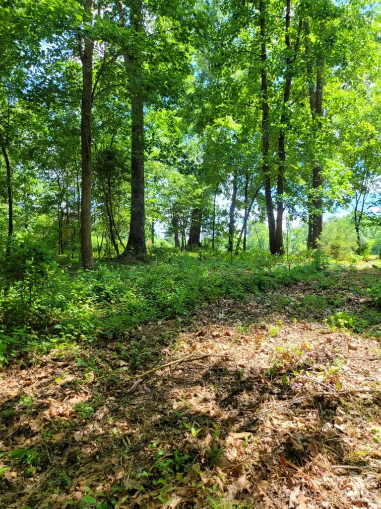 00 Millingport Road Albemarle NC 28001