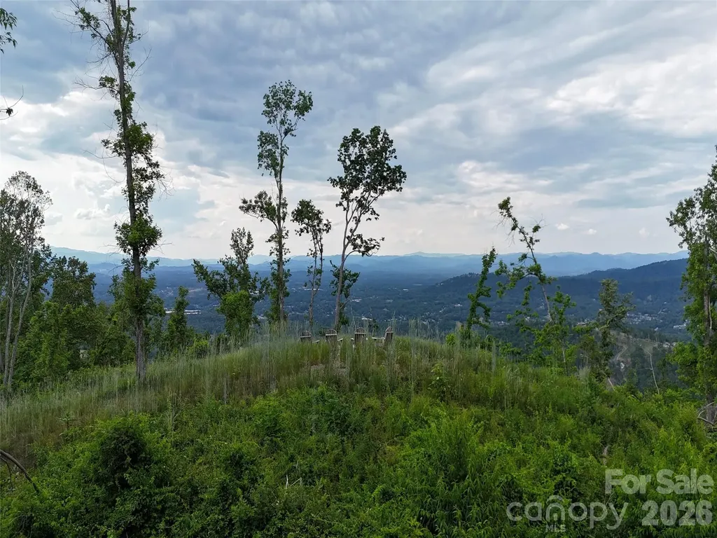 566 Elk Mountain Scenic Highway Asheville NC 28804