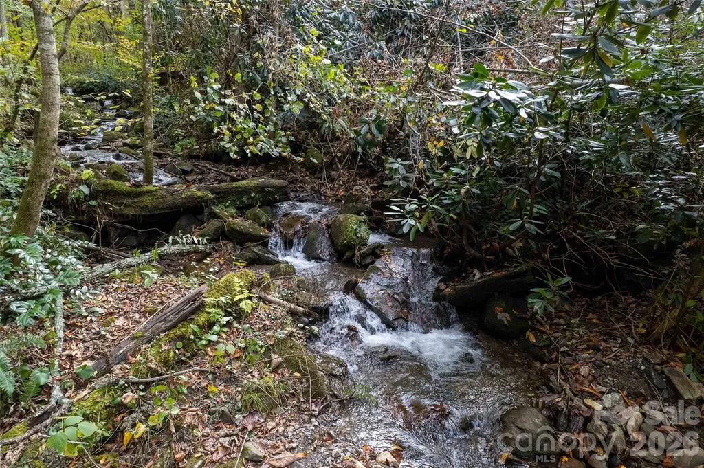 214 Chin Tree Road Sylva NC 28779