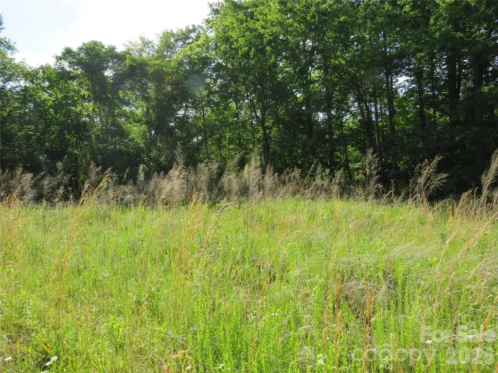 0 Blue Sapphire Lane Rutherfordton NC 28139