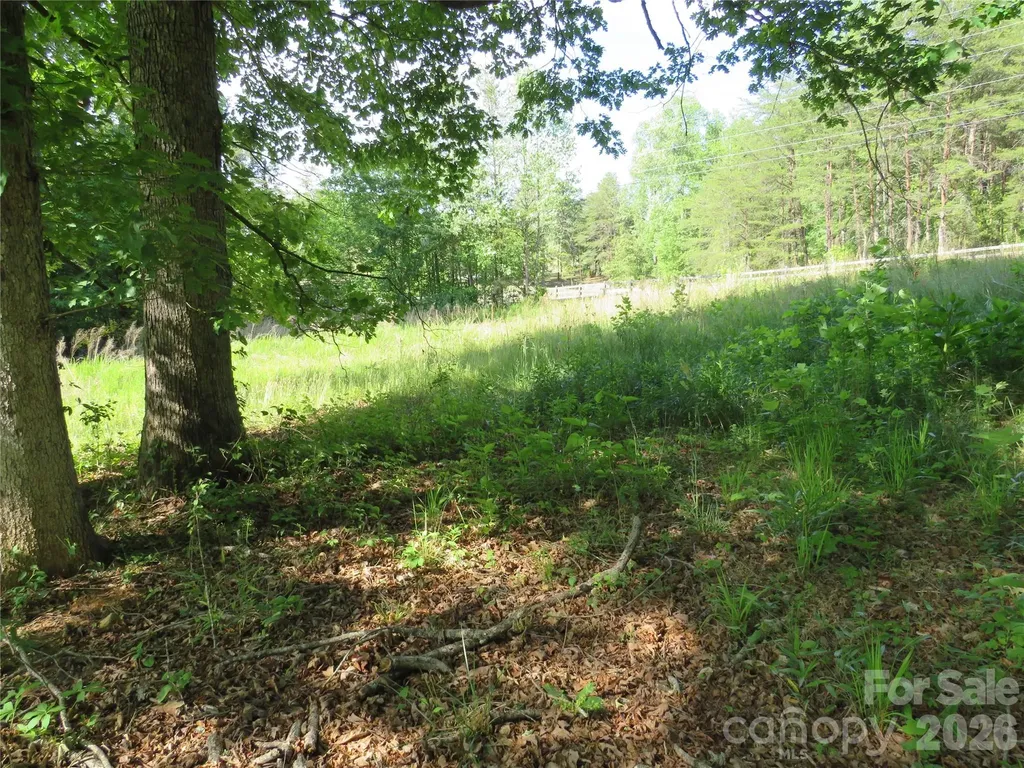 0 Blue Sapphire Lane Rutherfordton NC 28139
