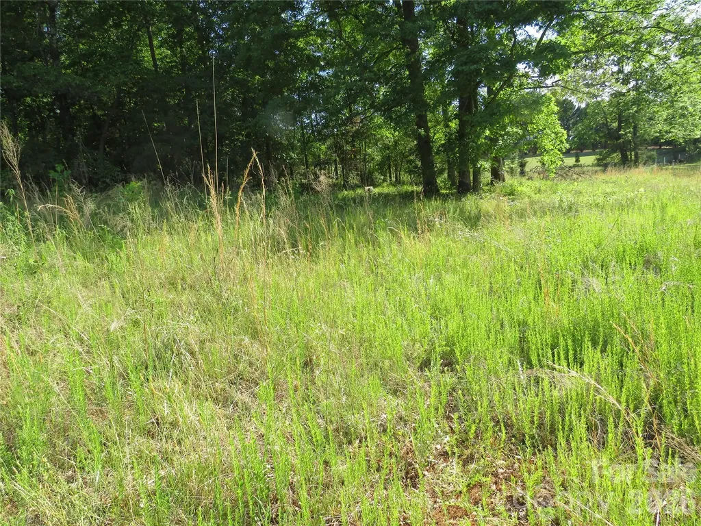 0 Blue Sapphire Lane Rutherfordton NC 28139