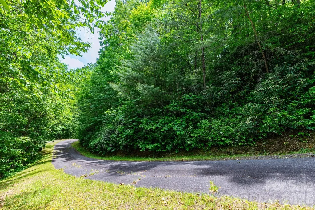 46 Widgeon Way Whittier NC 28789