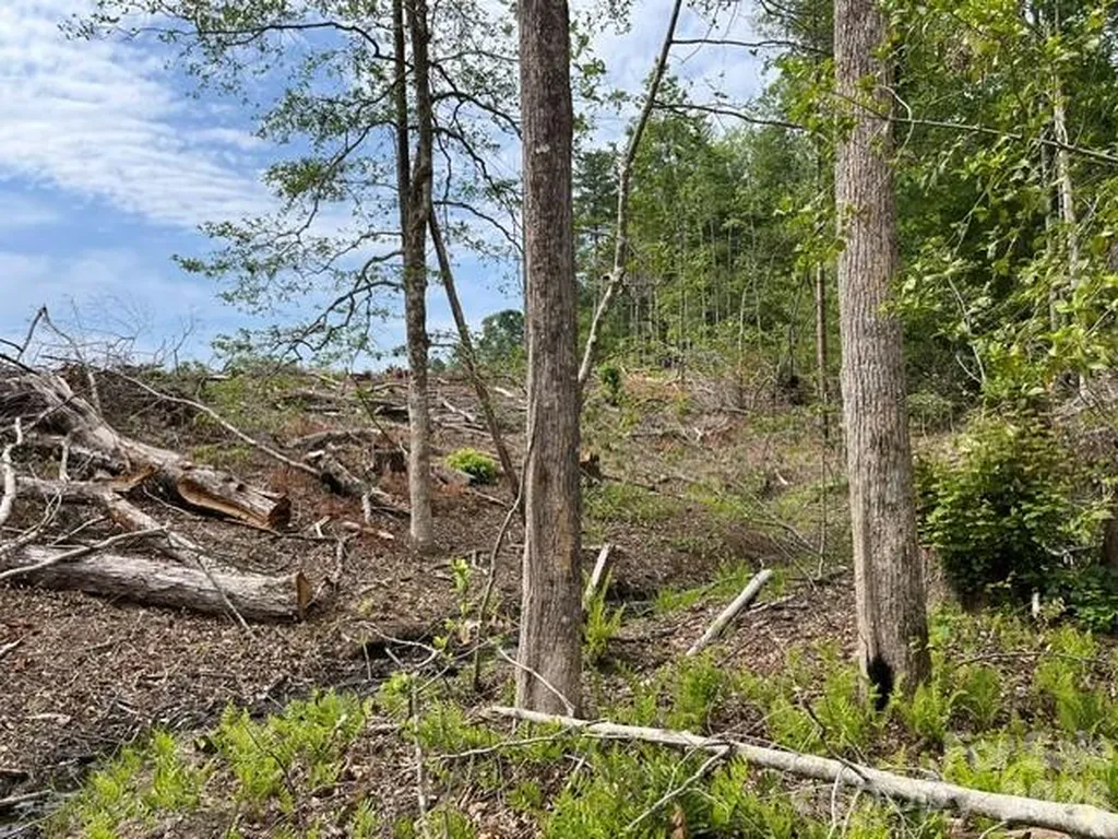 Tbd Fowler Road Granite Falls NC 28630