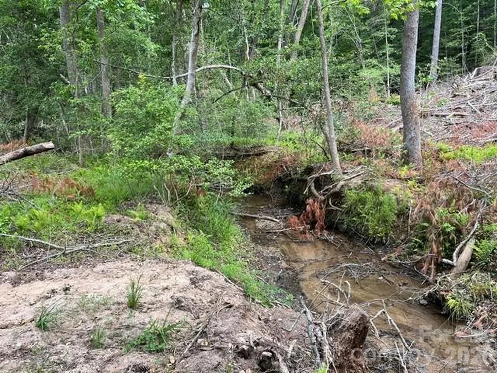 Tbd Fowler Road Granite Falls NC 28630