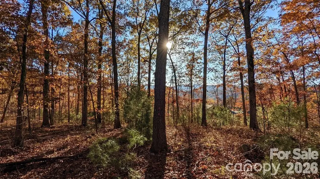 512 Wild River Run Marshall NC 28753
