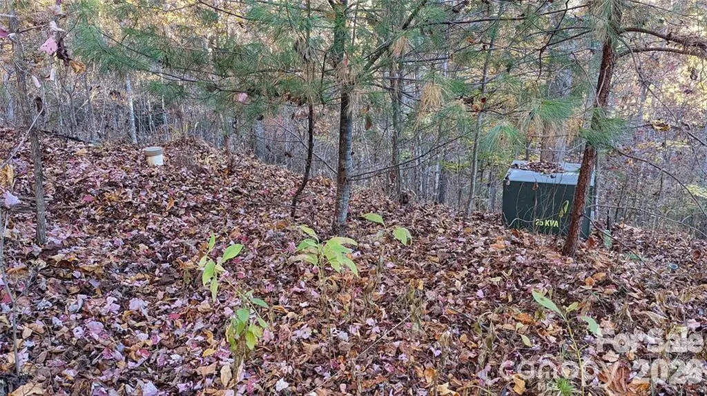 512 Wild River Run Marshall NC 28753