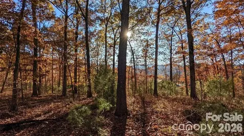 512 Wild River Run Marshall NC 28753