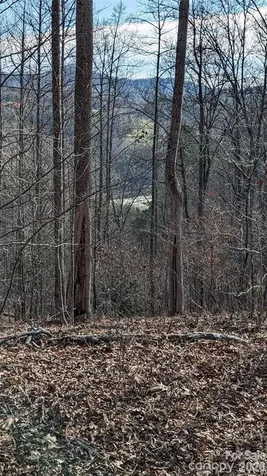 512 Wild River Run Marshall NC 28753