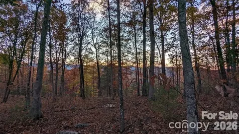 512 Wild River Run Marshall NC 28753
