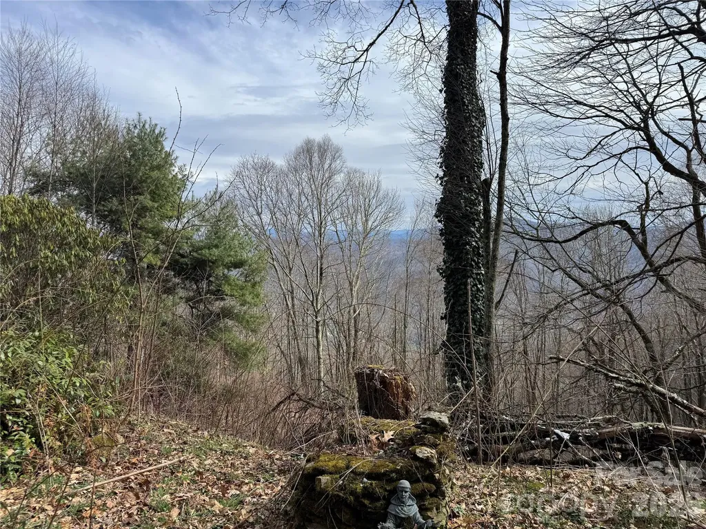 2085 Laurel Ridge N Maggie Valley NC 28751