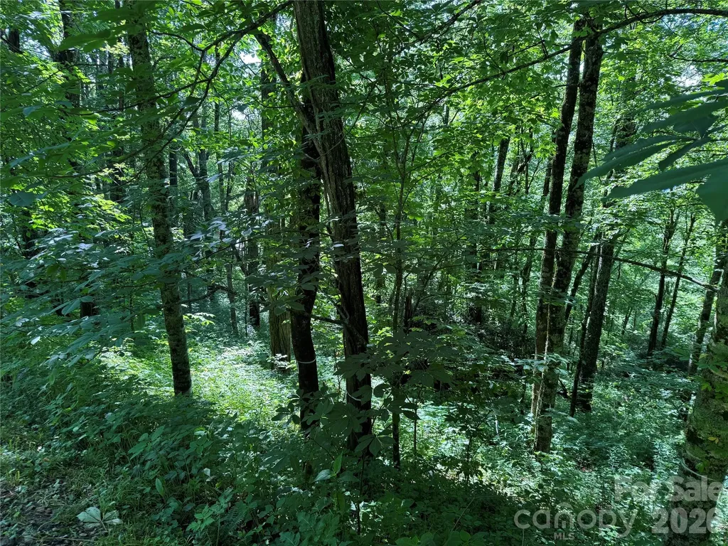 2085 Laurel Ridge N Maggie Valley NC 28751