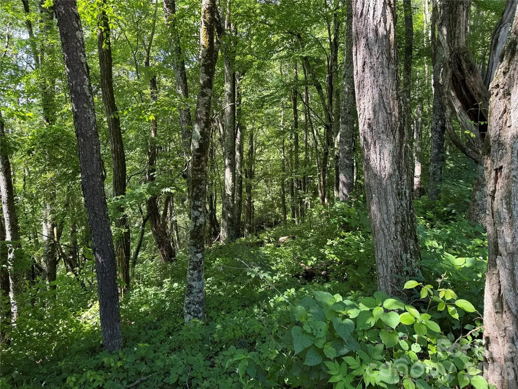 2085 Laurel Ridge N Maggie Valley NC 28751