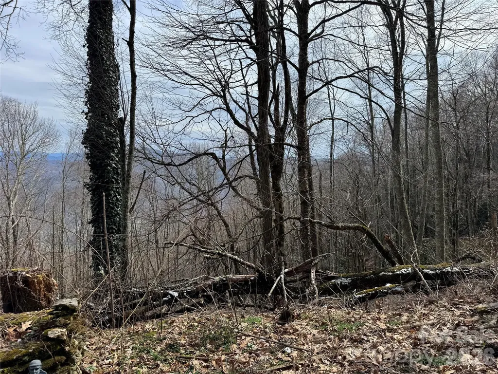 2085 Laurel Ridge N Maggie Valley NC 28751