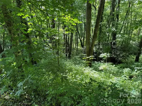 2085 Laurel Ridge N Maggie Valley NC 28751