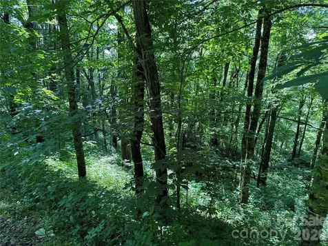2085 Laurel Ridge N Maggie Valley NC 28751