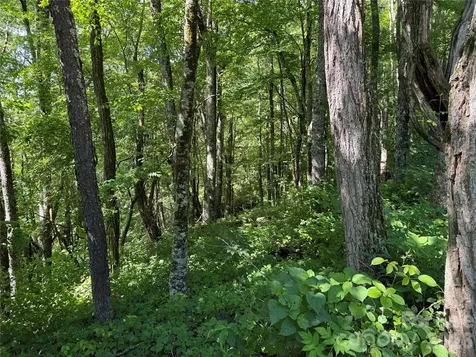 2085 Laurel Ridge N Maggie Valley NC 28751