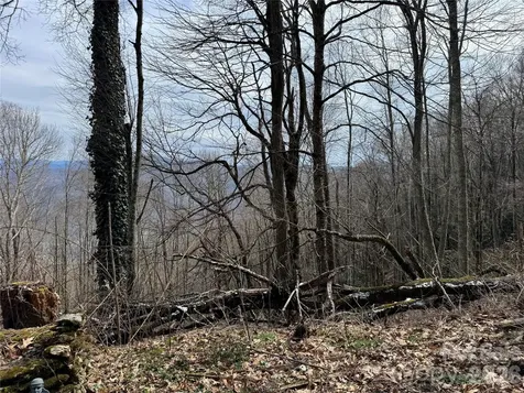 2085 Laurel Ridge N Maggie Valley NC 28751