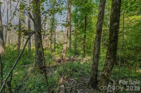 00 Stonehenge Court Waxhaw NC 28173