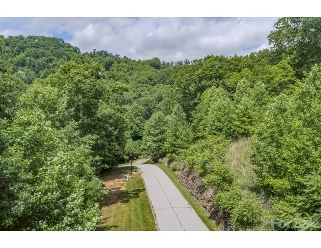 10 Fall Mountain Road Asheville NC 28803